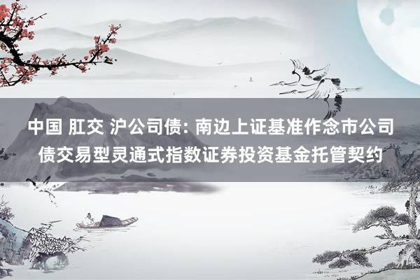 中国 肛交 沪公司债: 南边上证基准作念市公司债交易型灵通式指数证券投资基金托管契约