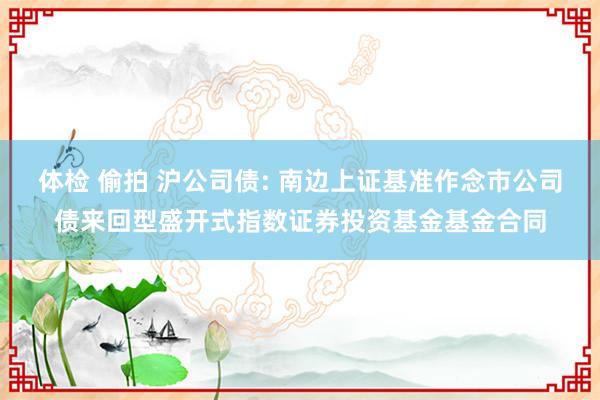 体检 偷拍 沪公司债: 南边上证基准作念市公司债来回型盛开式指数证券投资基金基金合同