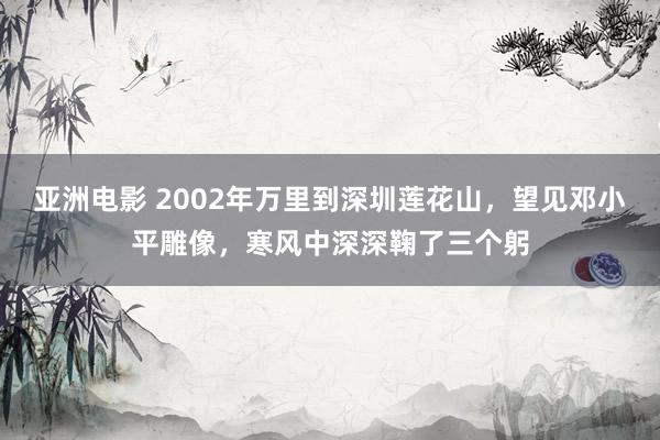 亚洲电影 2002年万里到深圳莲花山，望见邓小平雕像，寒风中深深鞠了三个躬