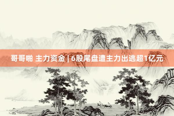 哥哥啪 主力资金 | 6股尾盘遭主力出逃超1亿元