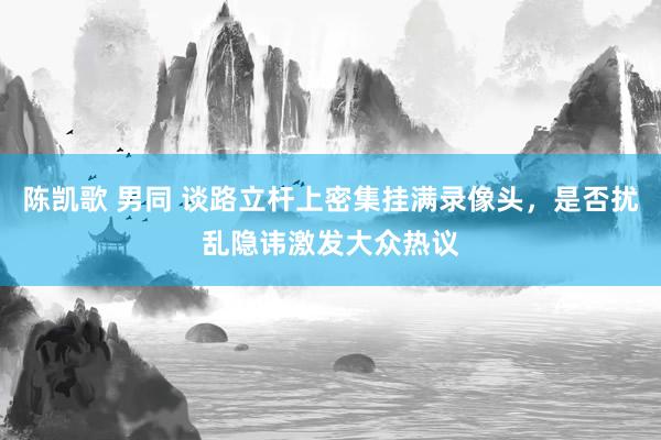 陈凯歌 男同 谈路立杆上密集挂满录像头，是否扰乱隐讳激发大众热议