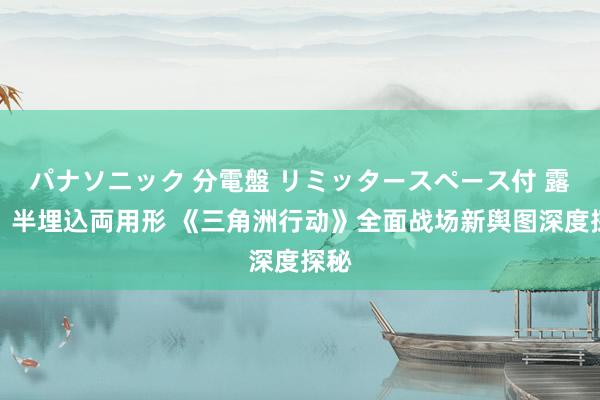 パナソニック 分電盤 リミッタースペース付 露出・半埋込両用形 《三角洲行动》全面战场新舆图深度探秘