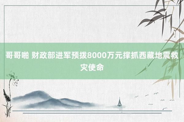 哥哥啪 财政部进军预拨8000万元撑抓西藏地震救灾使命