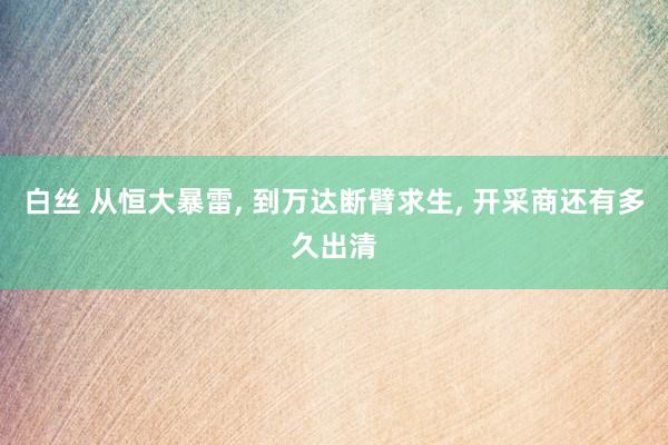 白丝 从恒大暴雷， 到万达断臂求生， 开采商还有多久出清