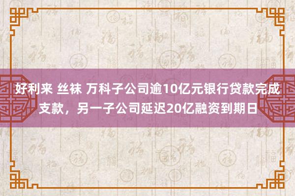 好利来 丝袜 万科子公司逾10亿元银行贷款完成支款，另一子公司延迟20亿融资到期日