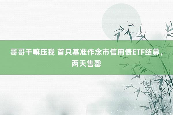 哥哥干嘛压我 首只基准作念市信用债ETF结募，两天售罄