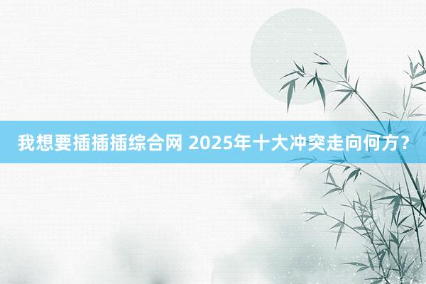 我想要插插插综合网 2025年十大冲突走向何方？