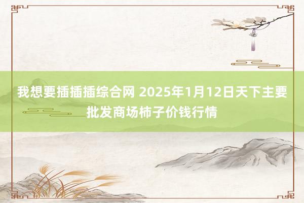 我想要插插插综合网 2025年1月12日天下主要批发商场柿子价钱行情