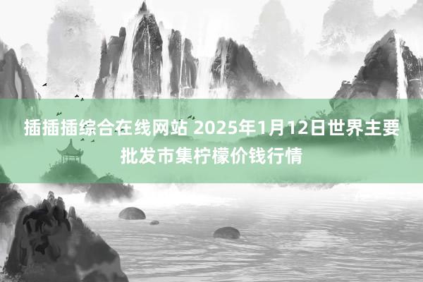 插插插综合在线网站 2025年1月12日世界主要批发市集柠檬价钱行情