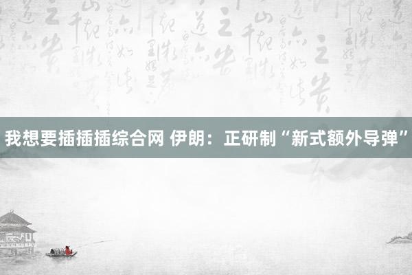 我想要插插插综合网 伊朗：正研制“新式额外导弹”