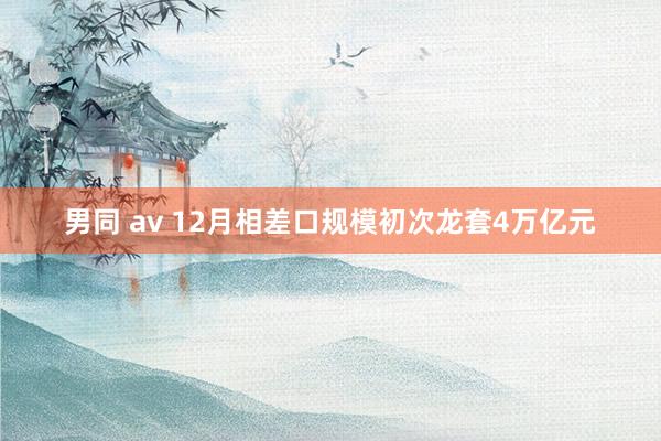 男同 av 12月相差口规模初次龙套4万亿元