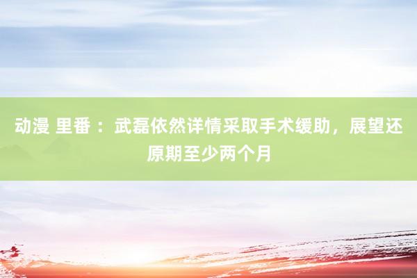 动漫 里番 ：武磊依然详情采取手术缓助，展望还原期至少两个月