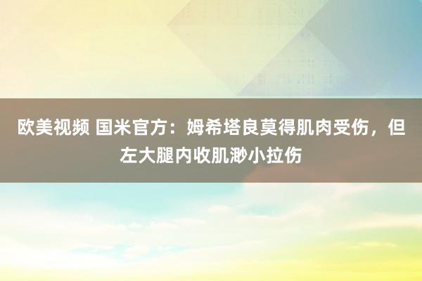 欧美视频 国米官方：姆希塔良莫得肌肉受伤，但左大腿内收肌渺小拉伤