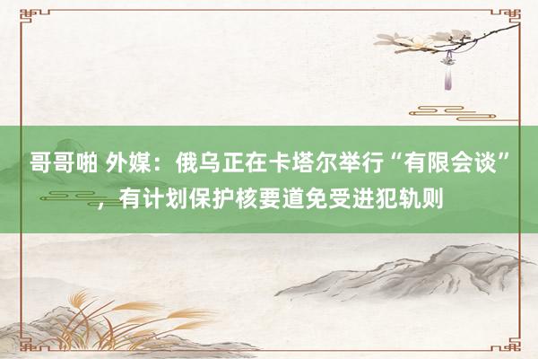 哥哥啪 外媒：俄乌正在卡塔尔举行“有限会谈”，有计划保护核要道免受进犯轨则