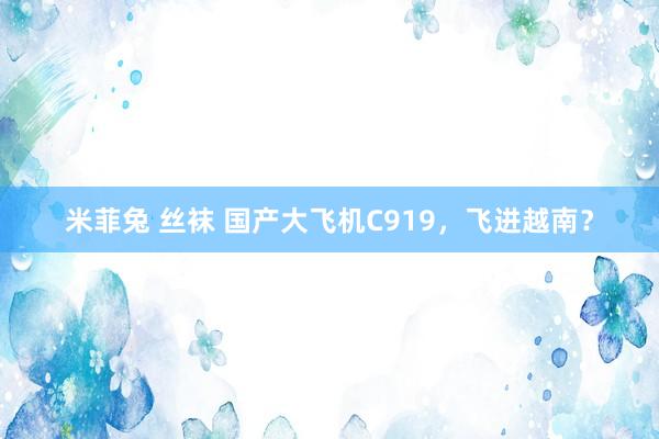 米菲兔 丝袜 国产大飞机C919，飞进越南？