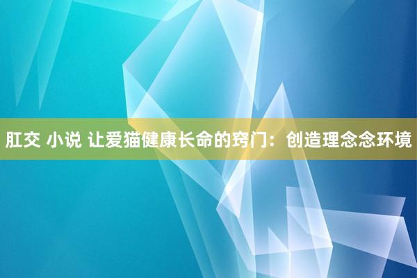 肛交 小说 让爱猫健康长命的窍门：创造理念念环境