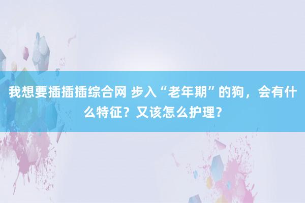 我想要插插插综合网 步入“老年期”的狗，会有什么特征？又该怎么护理？
