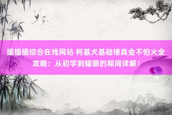 插插插综合在线网站 柯基犬基础锤真金不怕火全攻略：从初学到耀眼的期间详解！