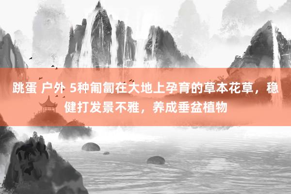 跳蛋 户外 5种匍匐在大地上孕育的草本花草，稳健打发景不雅，养成垂盆植物