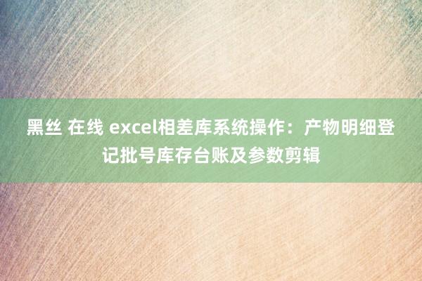 黑丝 在线 excel相差库系统操作：产物明细登记批号库存台账及参数剪辑