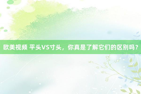 欧美视频 平头VS寸头，你真是了解它们的区别吗？