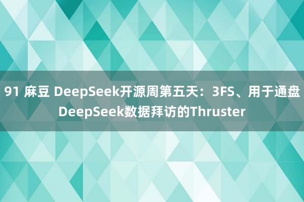 91 麻豆 DeepSeek开源周第五天：3FS、用于通盘DeepSeek数据拜访的Thruster