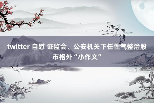 twitter 自慰 证监会、公安机关下任性气整治股市格外“小作文”