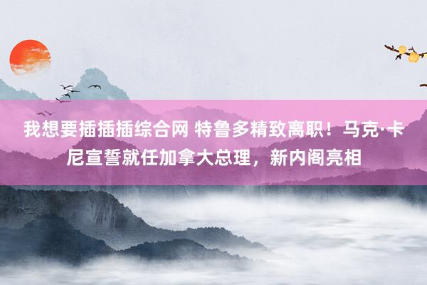 我想要插插插综合网 特鲁多精致离职！马克·卡尼宣誓就任加拿大总理，新内阁亮相