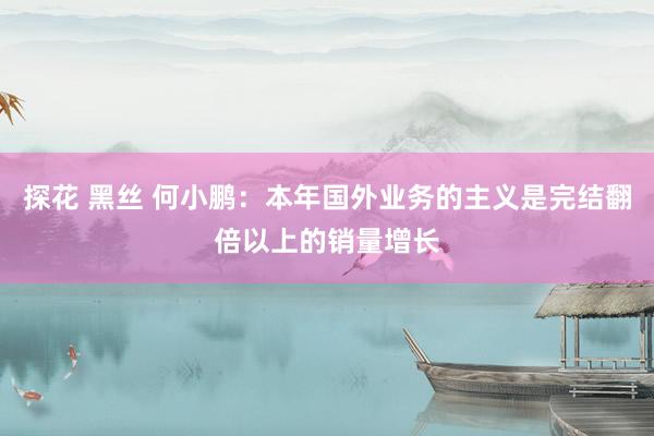 探花 黑丝 何小鹏：本年国外业务的主义是完结翻倍以上的销量增长