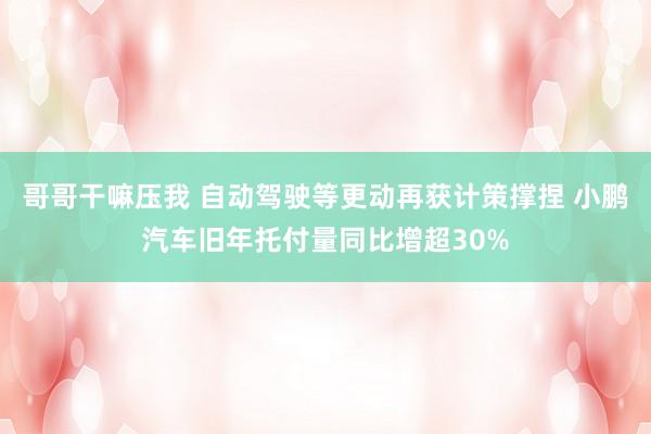 哥哥干嘛压我 自动驾驶等更动再获计策撑捏 小鹏汽车旧年托付量同比增超30%
