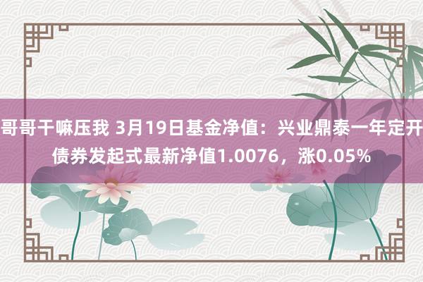 哥哥干嘛压我 3月19日基金净值：兴业鼎泰一年定开债券发起式最新净值1.0076，涨0.05%