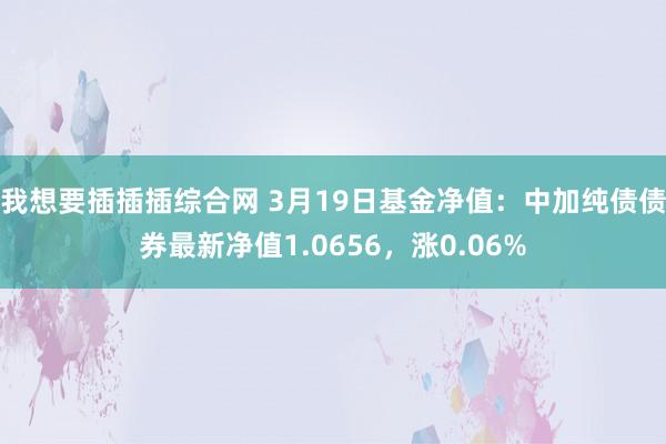 我想要插插插综合网 3月19日基金净值：中加纯债债券最新净值1.0656，涨0.06%