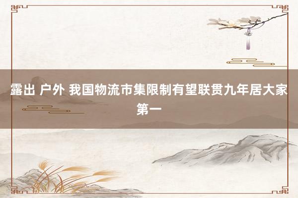 露出 户外 我国物流市集限制有望联贯九年居大家第一
