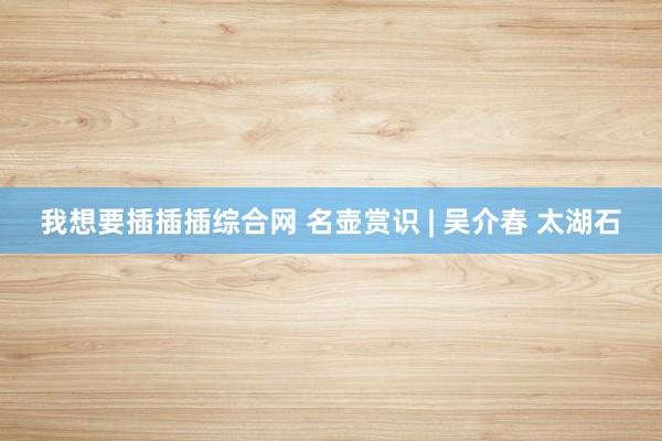 我想要插插插综合网 名壶赏识 | 吴介春 太湖石