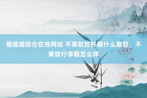插插插综合在线网站 不莱玫拉杆箱什么眉目，不莱玫行李箱怎么样