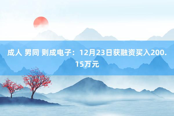 成人 男同 则成电子：12月23日获融资买入200.15万元