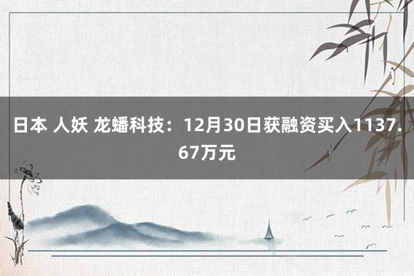 日本 人妖 龙蟠科技：12月30日获融资买入1137.67万元