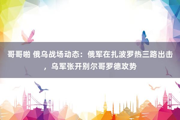 哥哥啪 俄乌战场动态：俄军在扎波罗热三路出击，乌军张开别尔哥罗德攻势