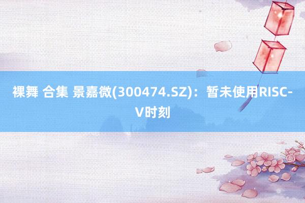 裸舞 合集 景嘉微(300474.SZ)：暂未使用RISC-V时刻