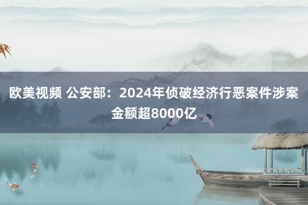 欧美视频 公安部：2024年侦破经济行恶案件涉案金额超8000亿