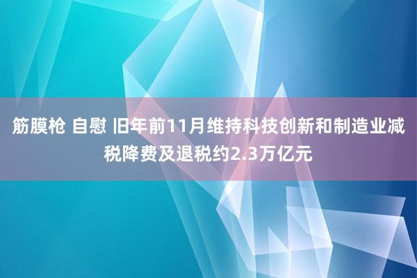 筋膜枪 自慰 旧年前11月维持科技创新和制造业减税降费及退税约2.3万亿元