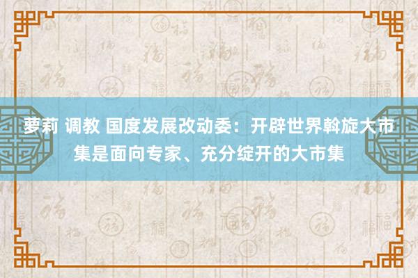 萝莉 调教 国度发展改动委：开辟世界斡旋大市集是面向专家、充分绽开的大市集