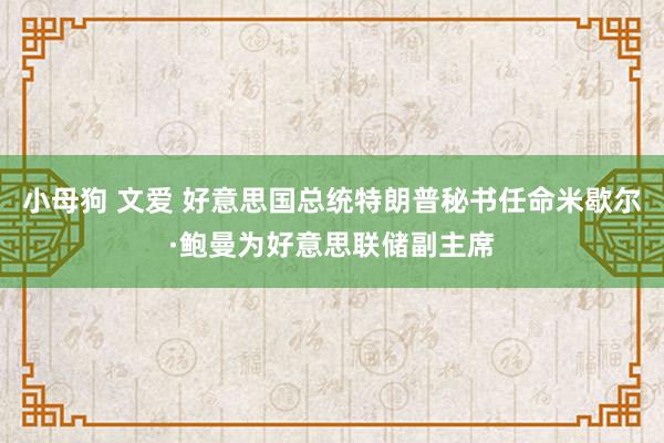 小母狗 文爱 好意思国总统特朗普秘书任命米歇尔·鲍曼为好意思联储副主席