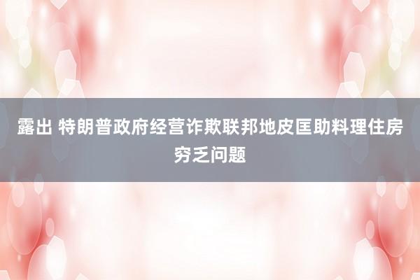 露出 特朗普政府经营诈欺联邦地皮匡助料理住房穷乏问题