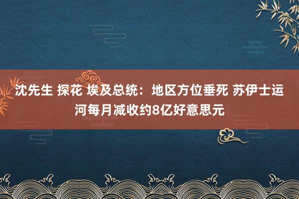 沈先生 探花 埃及总统：地区方位垂死 苏伊士运河每月减收约8亿好意思元