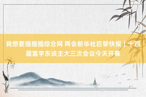 我想要插插插综合网 两会新华社巨擘快报｜十四届寰宇东谈主大三次会议今天开幕