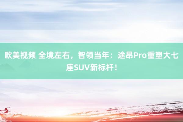 欧美视频 全境左右，智领当年：途昂Pro重塑大七座SUV新标杆！