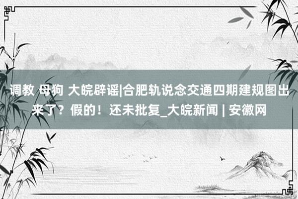 调教 母狗 大皖辟谣|合肥轨说念交通四期建规图出来了？假的！还未批复_大皖新闻 | 安徽网