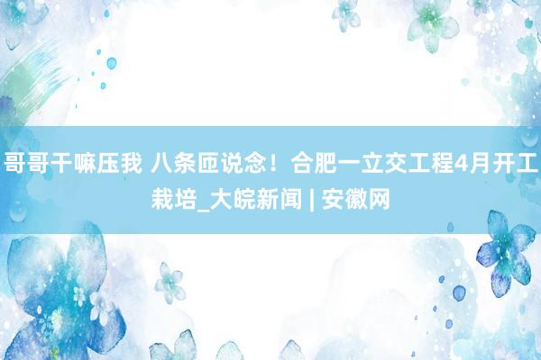 哥哥干嘛压我 八条匝说念！合肥一立交工程4月开工栽培_大皖新闻 | 安徽网