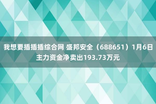 我想要插插插综合网 盛邦安全（688651）1月6日主力资金净卖出193.73万元